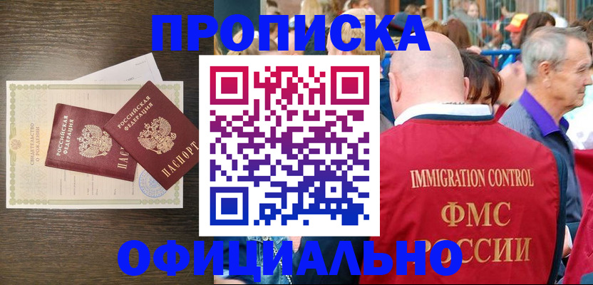 прописка 2025 в Камешково